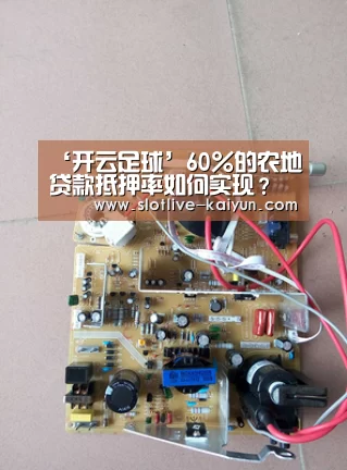 ‘开云足球’60%的农地贷款抵押率如何实现?(图4) 开云足球