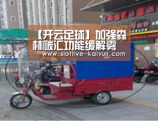 开云体育