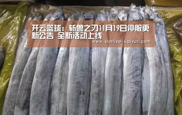 开云篮球:斩兽之刃11月19日停服更新公告 全新活动上线(图4) 开云赛事