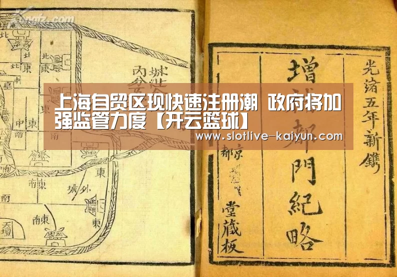 上海自贸区现快速注册潮 政府将加强监管力度【开云篮球】(图2) 开云赛事