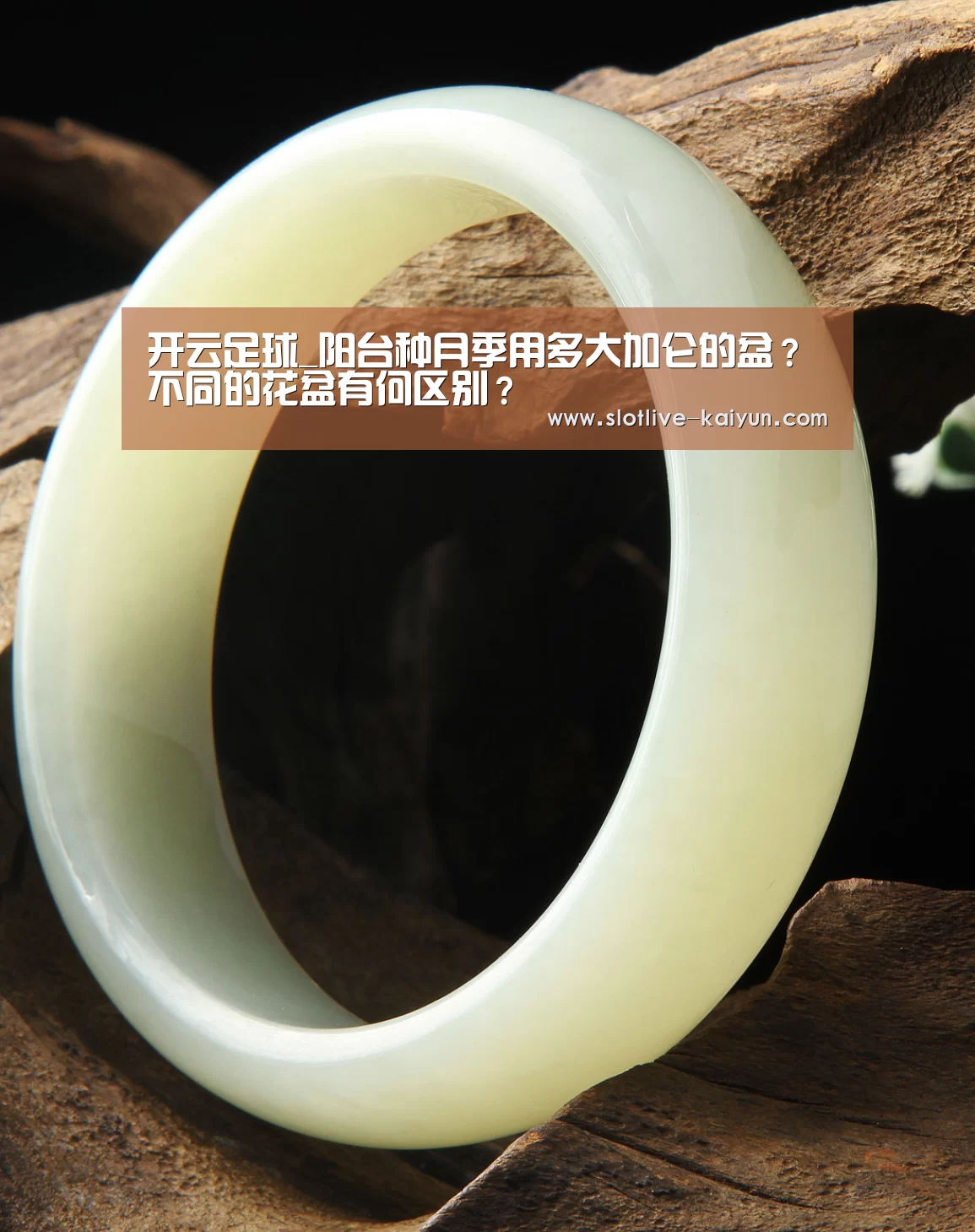 开云足球_阳台种月季用多大加仑的盆?不同的花盆有何区别?(图1) 开云赛事