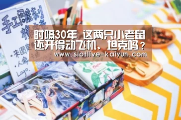 开云赛事