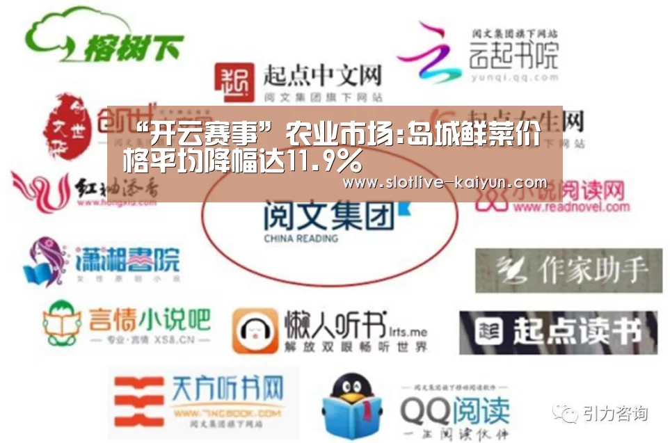 开云篮球