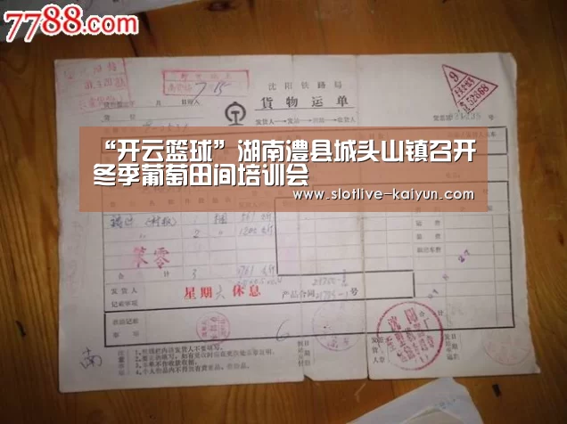 “开云篮球”湖南澧县城头山镇召开冬季葡萄田间培训会(图2) 开云体育