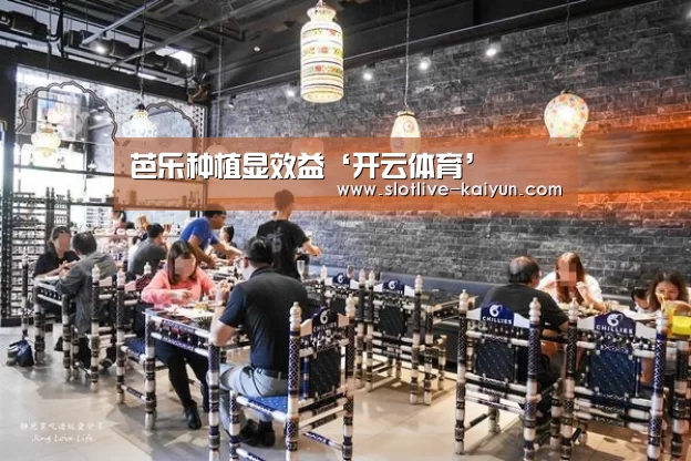 芭乐种植显效益‘开云体育’(图1) 开云足球